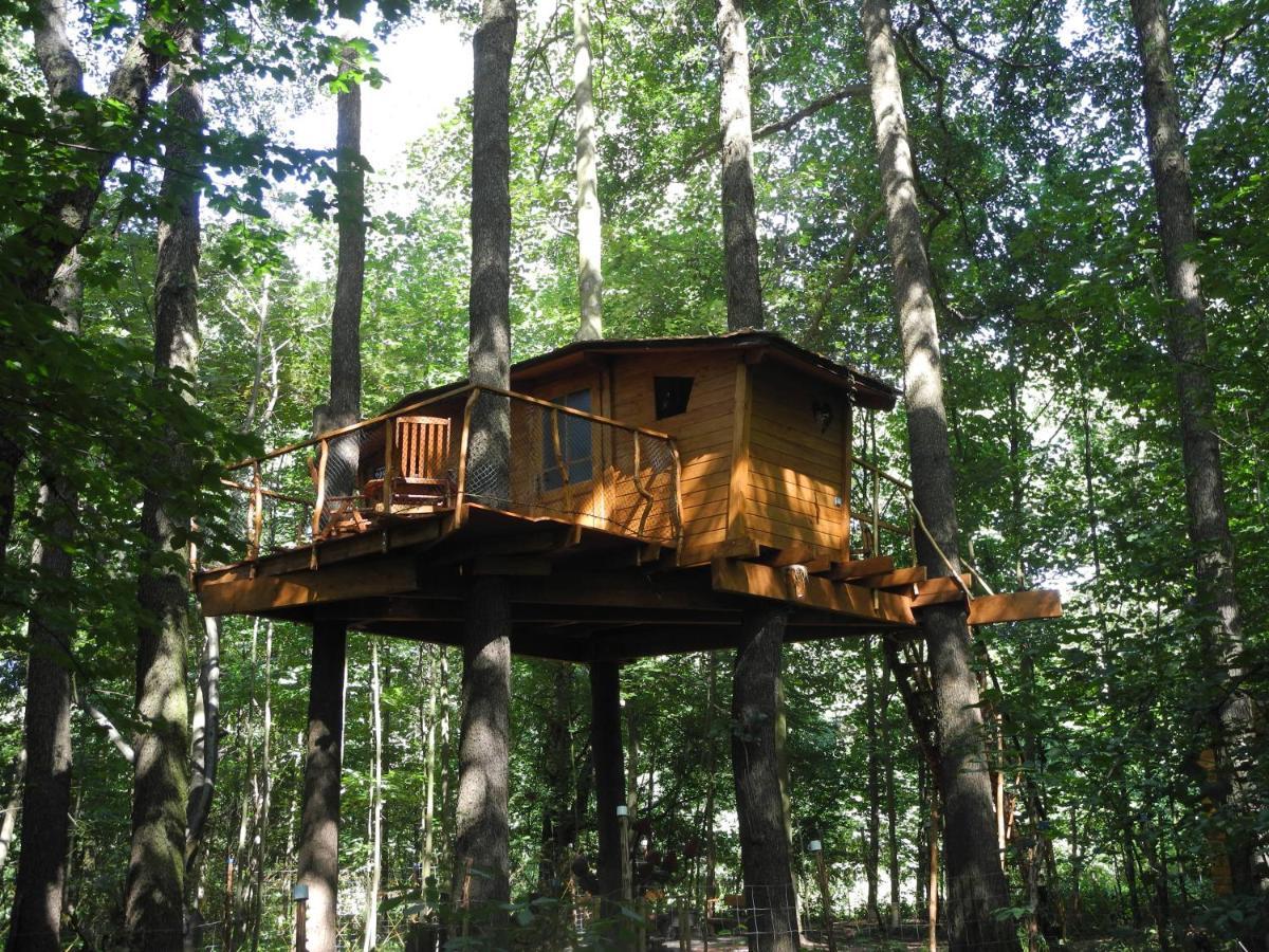 Вилла Treehouse V Brdech Bohutin  Экстерьер фото