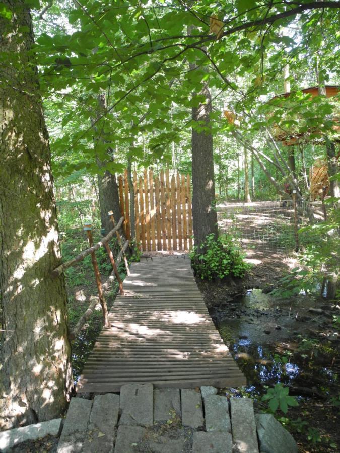 Вилла Treehouse V Brdech Bohutin  Экстерьер фото
