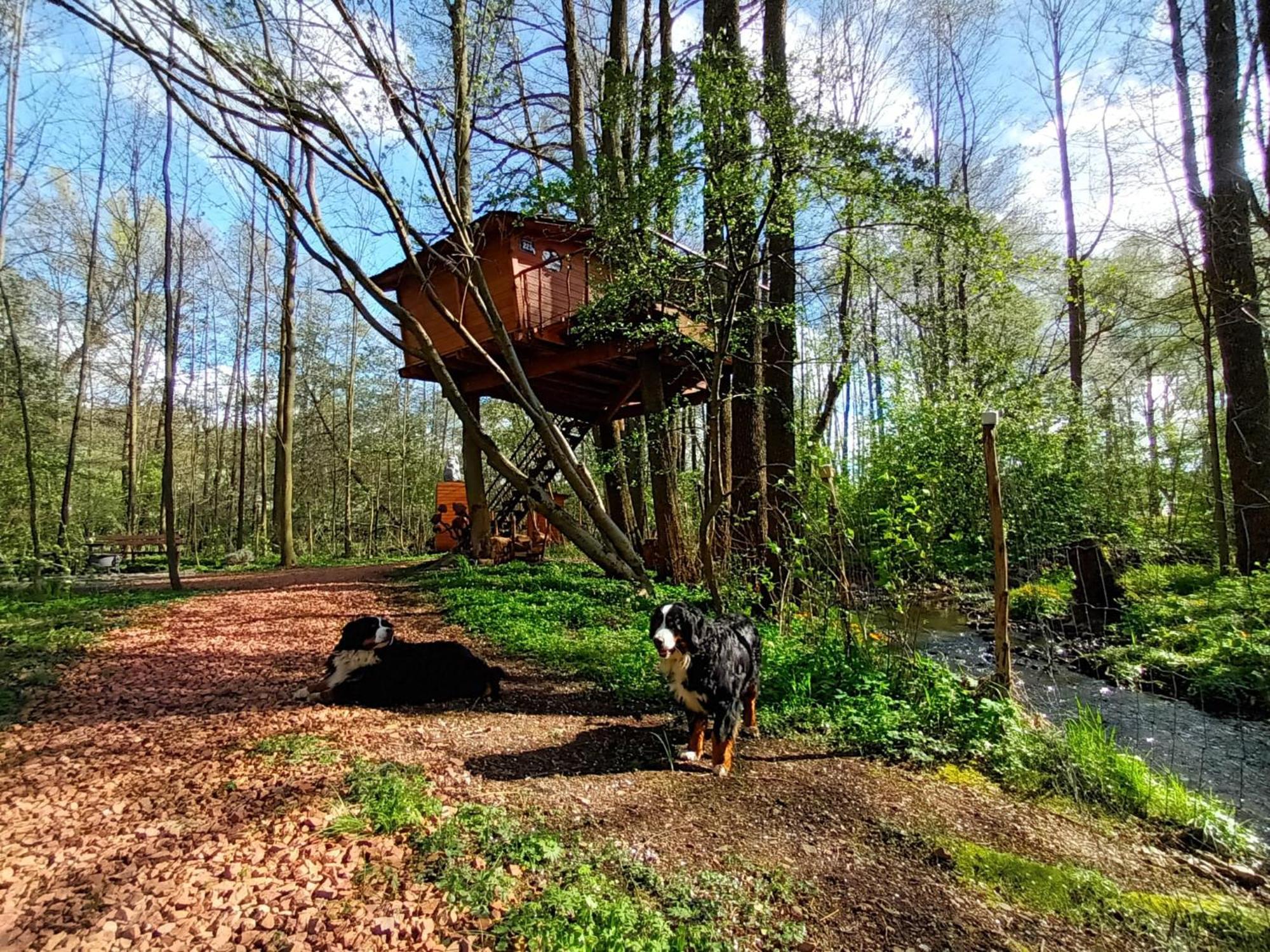 Вилла Treehouse V Brdech Bohutin  Экстерьер фото